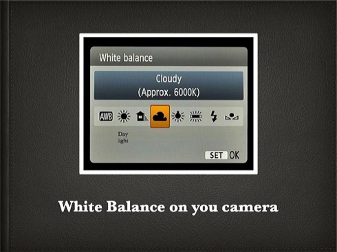 How to White Balance.003.jpg